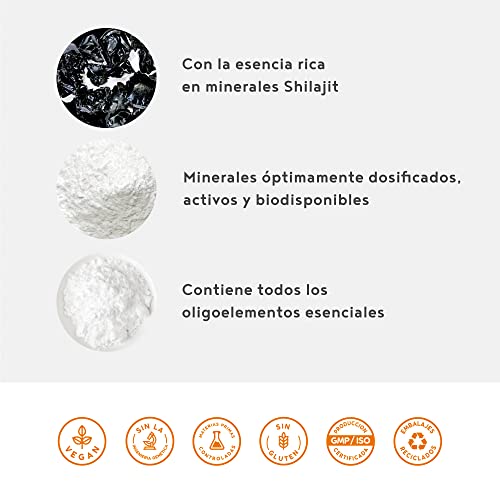 Minerales y Oligoelementos - Sabor Plátano - Complejo Mineral Natural con Esencia de Shilajit Primordial - 450g Polvo