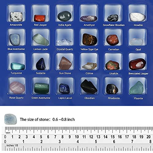 Naler 24 Colección de Rocas y Minerales Colección de Piedras Preciosas Reales para Niños con Guía de Identificación Educativa Regalo de Científica Juguetes Educativos para Niños y Niñas