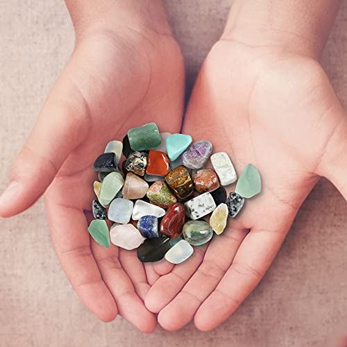 Naler 24 Colección de Rocas y Minerales Colección de Piedras Preciosas Reales para Niños con Guía de Identificación Educativa Regalo de Científica Juguetes Educativos para Niños y Niñas