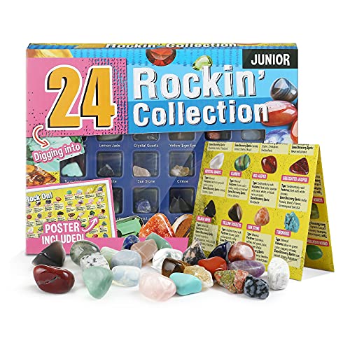 Naler 24 Colección de Rocas y Minerales Colección de Piedras Preciosas Reales para Niños con Guía de Identificación Educativa Regalo de Científica Juguetes Educativos para Niños y Niñas