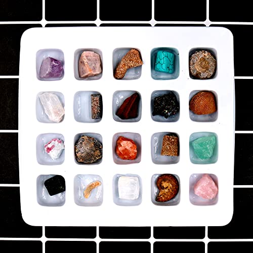 Namvo Juego de 20 piezas de minerales naturales mixtos de piedras naturales fósiles animales para la escuela educación geológica decoración del hogar regalo para niños