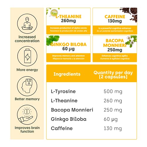 Nootrópico Natural Envase XL 60 Cápsulas | Fórmula para incrementar la energía, concentración y agilidad mental | Cafeína, Ginko Biloba, Tirosina, Teanina, Bacopa Monnieri y Vitaminas