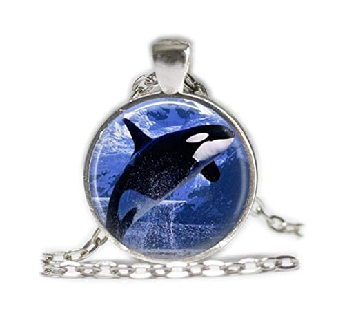 Orca Collar Ocean Collar Joyería Náutica