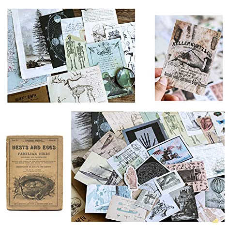 Paquete de 36 pegatinas vintage para álbumes de recortes, colección retro decorativa antigua, para diario de basura, manualidades, álbumes, revistas, revistas, etc