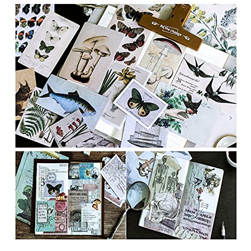 Paquete de 36 pegatinas vintage para álbumes de recortes, colección retro decorativa antigua, para diario de basura, manualidades, álbumes, revistas, revistas, etc