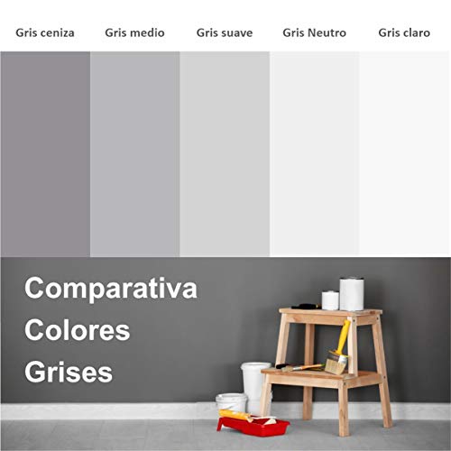 PINTURA DE PAREDES PROFESIONAL, 1ª CALIDAD. Totalmente Lavable, Pintura Ecológica, Pintura Plástica Supercubriente, Acabado Mate. No Salpica. Pintura de Colores. (6 KG, Blanco maquillaje)