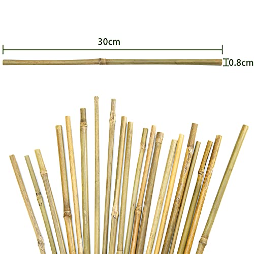 Pllieay Estacas de bambú Gruesas Naturales Estacas de jardín Bastones de bambú para Soporte de Plantas, 40CM