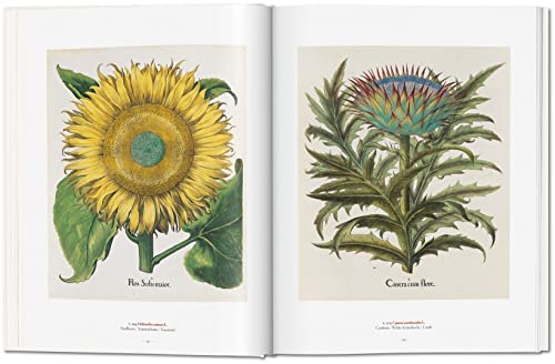 UN JARDIN DEL EDEN. OBRAS MAESTRAS DE LA ILUSTRACION BOTANIC