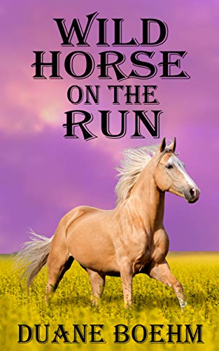 Wild Horse On The Run (English Edition)