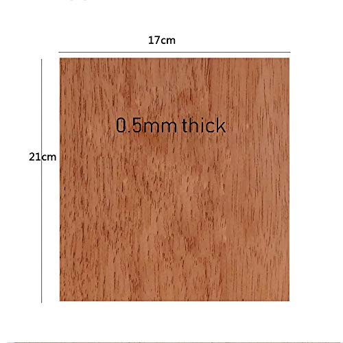 YLM Cedro Español, Evaluaciones y Humidor para Cigar Box Bandeja Tarro 17x21cm 5 Piezas