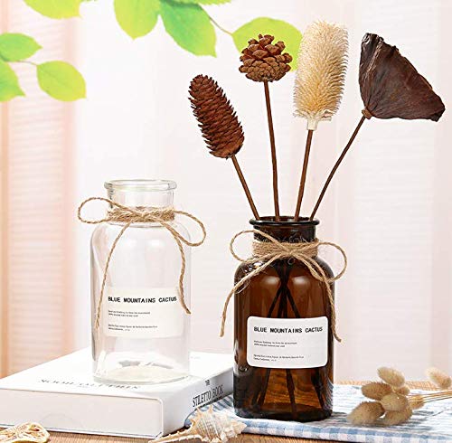1 jarrón de vidrio ámbar de 500 ml jarrones de boticario tarros de vidrio decorativos jarrones de flores de cristal pequeños vintage con diseño creativo de cuerda para decoración del hogar boda fiesta