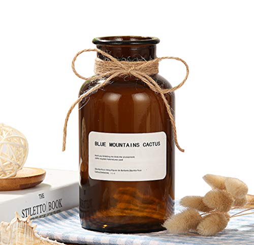 1 jarrón de vidrio ámbar de 500 ml jarrones de boticario tarros de vidrio decorativos jarrones de flores de cristal pequeños vintage con diseño creativo de cuerda para decoración del hogar boda fiesta