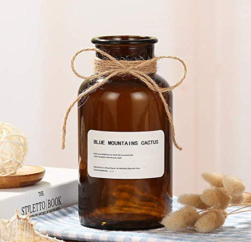 1 jarrón de vidrio ámbar de 500 ml jarrones de boticario tarros de vidrio decorativos jarrones de flores de cristal pequeños vintage con diseño creativo de cuerda para decoración del hogar boda fiesta