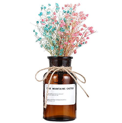 1 jarrón de vidrio ámbar de 500 ml/16 onzas, jarrones de boticario, tarros decorativos de vidrio, florero, botellas de medicina vintage con diseño creativo de cuerda para decoración de hogar