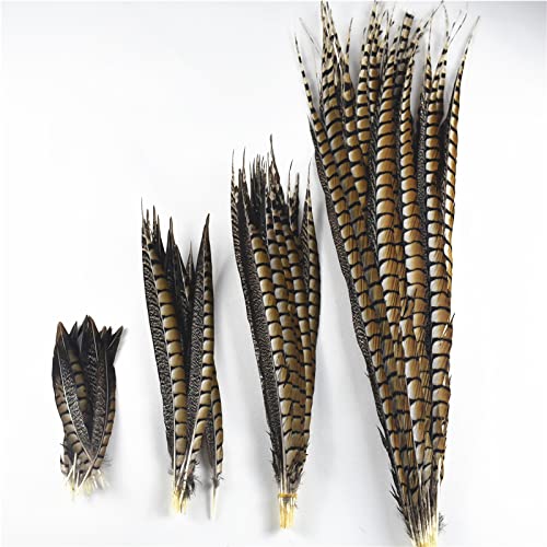 10 piezas/lote de plumas de faisán natural para manualidades 10-120 cm / 4-48 quot; Artesanía Plumas Decoración Plumas Largas Decoración DIY-Natural 35 a 40CM