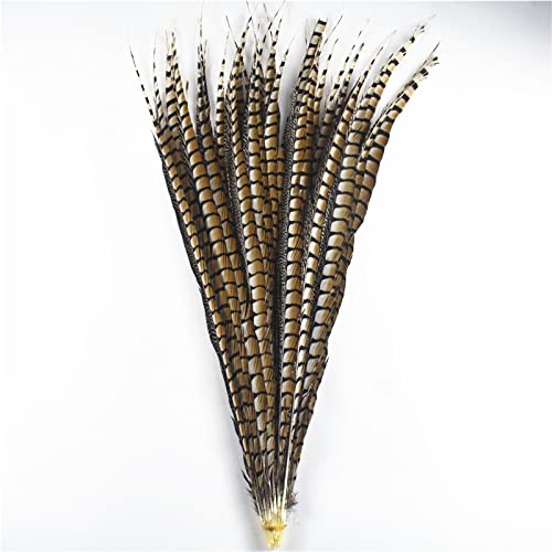 10 piezas/lote de plumas de faisán natural para manualidades 10-120 cm / 4-48 quot; Artesanía Plumas Decoración Plumas Largas Decoración DIY-Natural 35 a 40CM