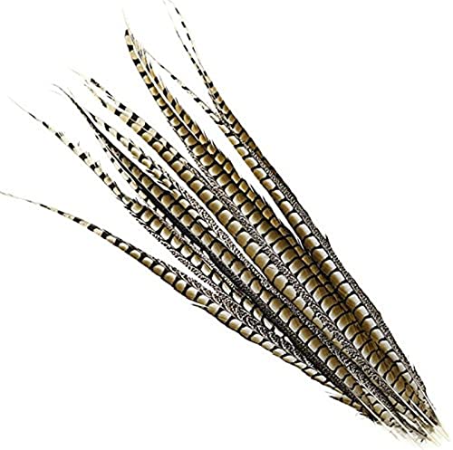 10 piezas/lote de plumas de faisán natural para manualidades 10-120 cm / 4-48 quot; Artesanía Plumas Decoración Plumas Largas Decoración DIY-Natural 35 a 40CM
