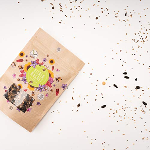 200 g de semillas de flores de prado para un pasto colorido de abejas - Mezcla de semillas de flores silvestres, llamativas y ricas en néctar para abejas y mariposas (guía electrónica GRATIS incluida)