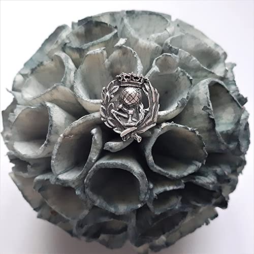 Alylosilver Insignia Profesional de Magisterio Pin para Hombre Mujer en Plata 925 con Caja para Regalo.