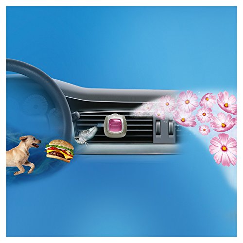 Ambi Pur Car Ambientador Desechable Anti-Tabaco - 125 gr