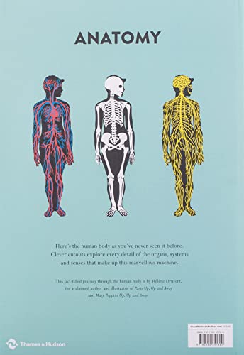 Anatomy: A Cutaway Look Inside the Human Body