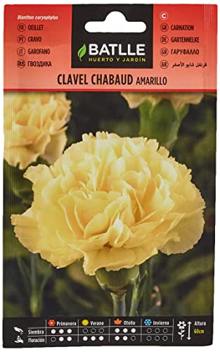 Clavel Chabaud AMARILLO