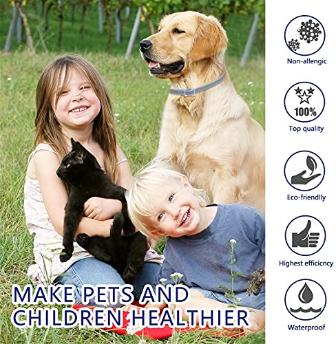 DEWEL Collar Antiparasitos Perro Impermeable/Ajustable - 63cm