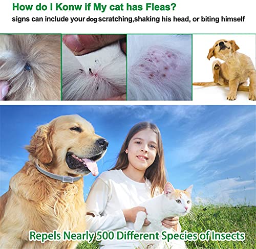 DEWEL Collar Antiparasitos Perro Impermeable/Ajustable - 63cm