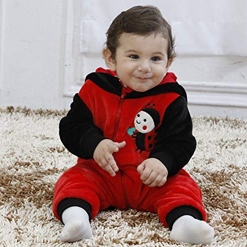 Doladola Unisex Baby Hoodies Onesie Cartoon Animal Romper Pyjama (Mariquita, (Altura:66-73cm/6-12 meses))
