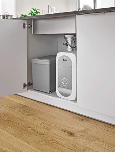 Grohe Blue - Filtro de Recambio Blue 600l, Tamaño S (Ref. 40404001)