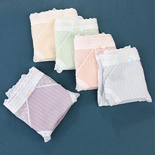 KELITCH Ropa Interior De Encaje Bragas A Rayas Calzoncillos Elásticos Invisibles Ropa Interior Hipster Sexy Para Mujer