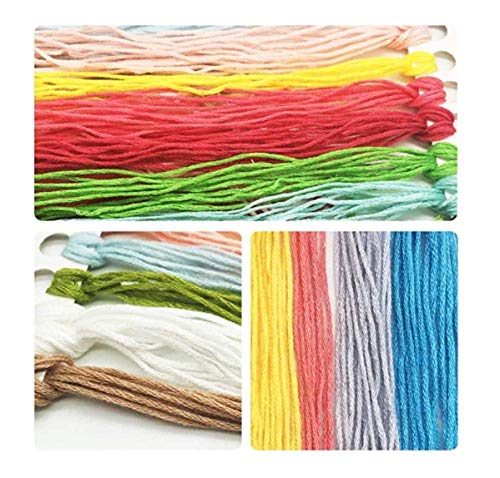 Kit de bordado imágenes de bordado punto de cruz preimpreso-enciclopedia de frutas -40X50Cm bordado bordado hilo de bordado decoración del hogar de Año Nuevo regalos creativos (lienzo preimpreso