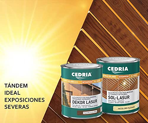 Lasur protector madera exterior al agua Cedria Dekor Lasur 20 litros TEKA