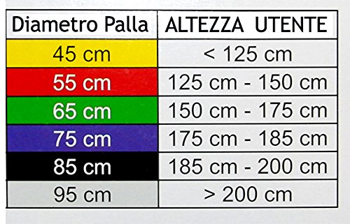 Liz Claiborne Mambo 05-010102 - Pelota de Entrenamiento (plástico ABS y Bomba de Aire, 45 cm), Color Amarillo, Color Amarillo, tamaño 45 cm, 1, 45 x 1 x 1centimeters