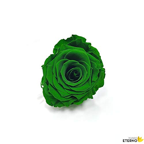 Mundo Eterno Rosa Eterna Preservada 35cm Verde