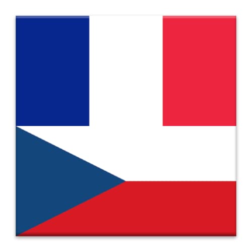 Offline French Czech Dictionary