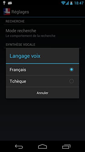 Offline French Czech Dictionary