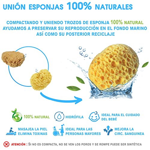 Pack x3 Esponja natural para bebe y personas mayores - Kit baby baño esponjas para el higiene del bebe recién nacido - Set cuidado bebe con esponja de baño natural y vegetal