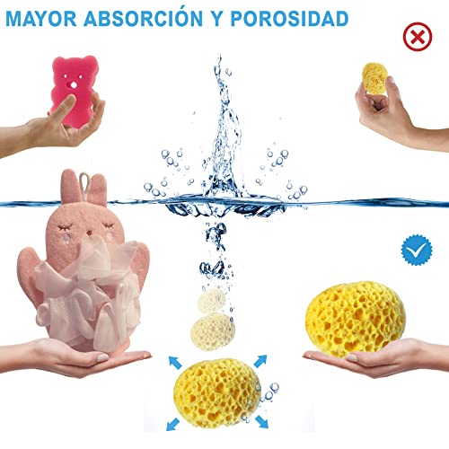 Pack x3 Esponja natural para bebe y personas mayores - Kit baby baño esponjas para el higiene del bebe recién nacido - Set cuidado bebe con esponja de baño natural y vegetal