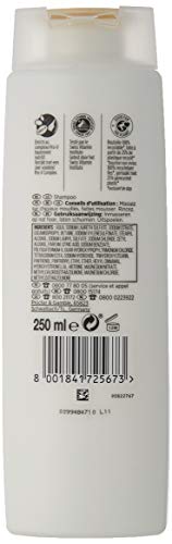 Pantene Reparación Y Champú Protect - Pack of 6