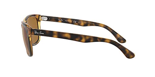 Ray-Ban - Gafas de sol Wayfarer Rb4181, Brown (710/83 710/83)