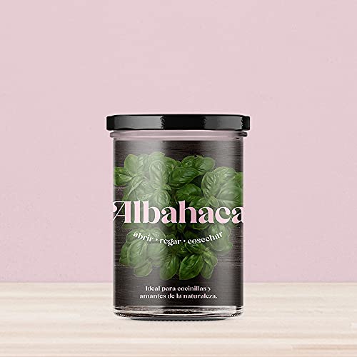 Resetea | Huerto de cocina | Albahaca