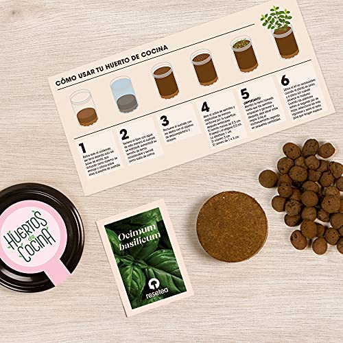 Resetea | Huerto de cocina | Albahaca