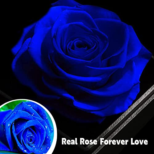 Rosa Eterna Caja Regalos San Valentin Mujer Con Collar De Plata, Regalos De Aniversario De Rosas Para Mujer Para El DíA De San ValentíN, DíA De La Madre, Aniversario, CumpleañOs