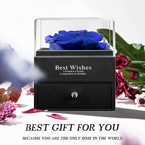Rosa Eterna Caja Regalos San Valentin Mujer Con Collar De Plata, Regalos De Aniversario De Rosas Para Mujer Para El DíA De San ValentíN, DíA De La Madre, Aniversario, CumpleañOs