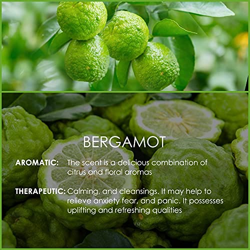 SALKING Aceite Esencial de Bergamota 120ml,100% Puro Aceites Esenciales para Humidificador,Aceites Esenciales Naturales Aceite Perfumado de Bergamota, Regalos Originales para Mujer