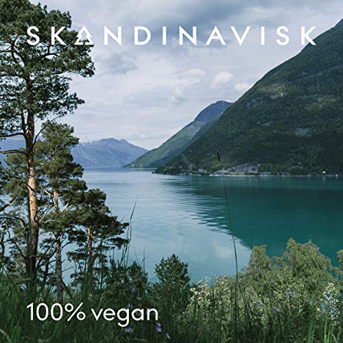 Skandinavisk KOTO 'Home' - Recambio difusor de aroma con 8 cañas y notas de fragancia: granos de vainilla y piel de naranja, ámbar y piel. 6 fl oz