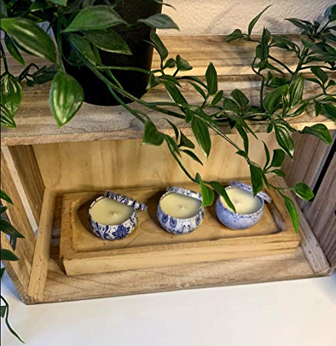 Smella Vela Perfumada - Velas Veganas De Citronela, Cera De Soja 100% Natural, Interior Y Exterior - Tiempo De Combustión De 15 Horas - 12 x 70 Gramos