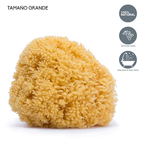 SUAVINEX 307651 Esponja Natural del Mar para Bebé, Tamaño Grande, Esponja de Bebé 100% Natural, Amarillo, Esponja Natural Grande, Pack 3 Unidades