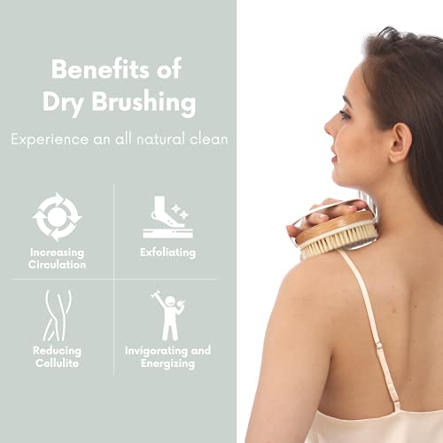 SURDOCA Cepillo Exfoliante Corporal para Cepillado en Seco y Ducha, Depurador de Espalda de Baño para Celulitis y Linfáticos, Exfoliante Suave y Masaje con Multipoint-Massage-Tech (Cerdas de nailon)